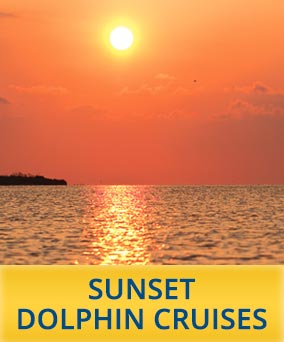 Sunset Dolphin Cruise