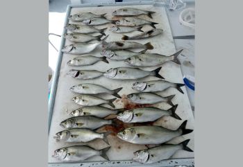 Crystal Dawn Head Boat Fishing and Evening Cruise, Tough Conditions